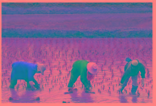 Property Network Property Insurance